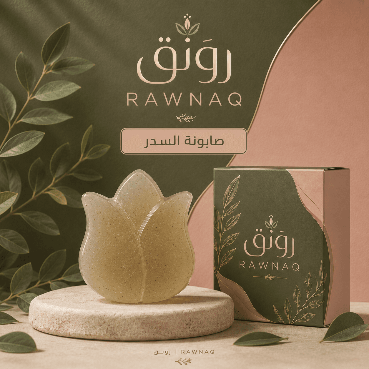 صابونة السدر
